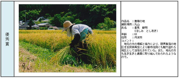 優秀賞受賞作品「豊穣の地」詳細の表組