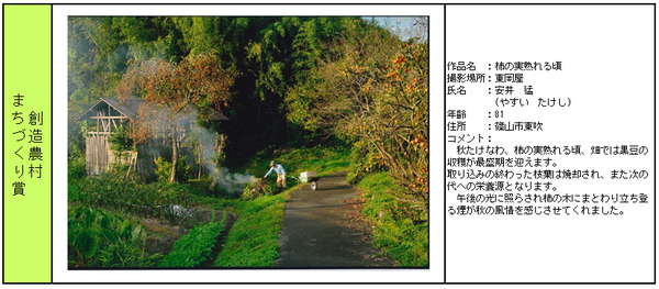 創造農村まちづくり賞受賞作品「柿の実熟れる頃」詳細の表組