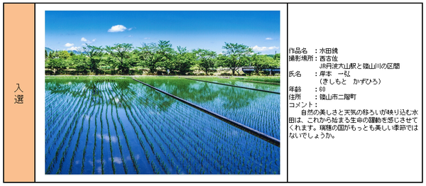 入選受賞作品「水田鏡」詳細の表組