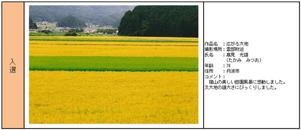 入選受賞作品「広がる大地」詳細の表組