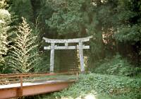 川上神社の鳥居の写真