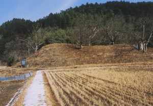 洞中古墳二号の写真