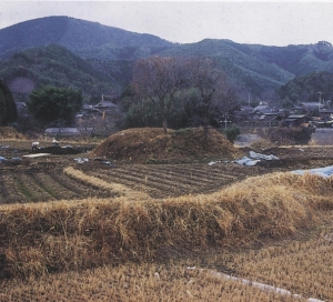 三子塚古墳の写真