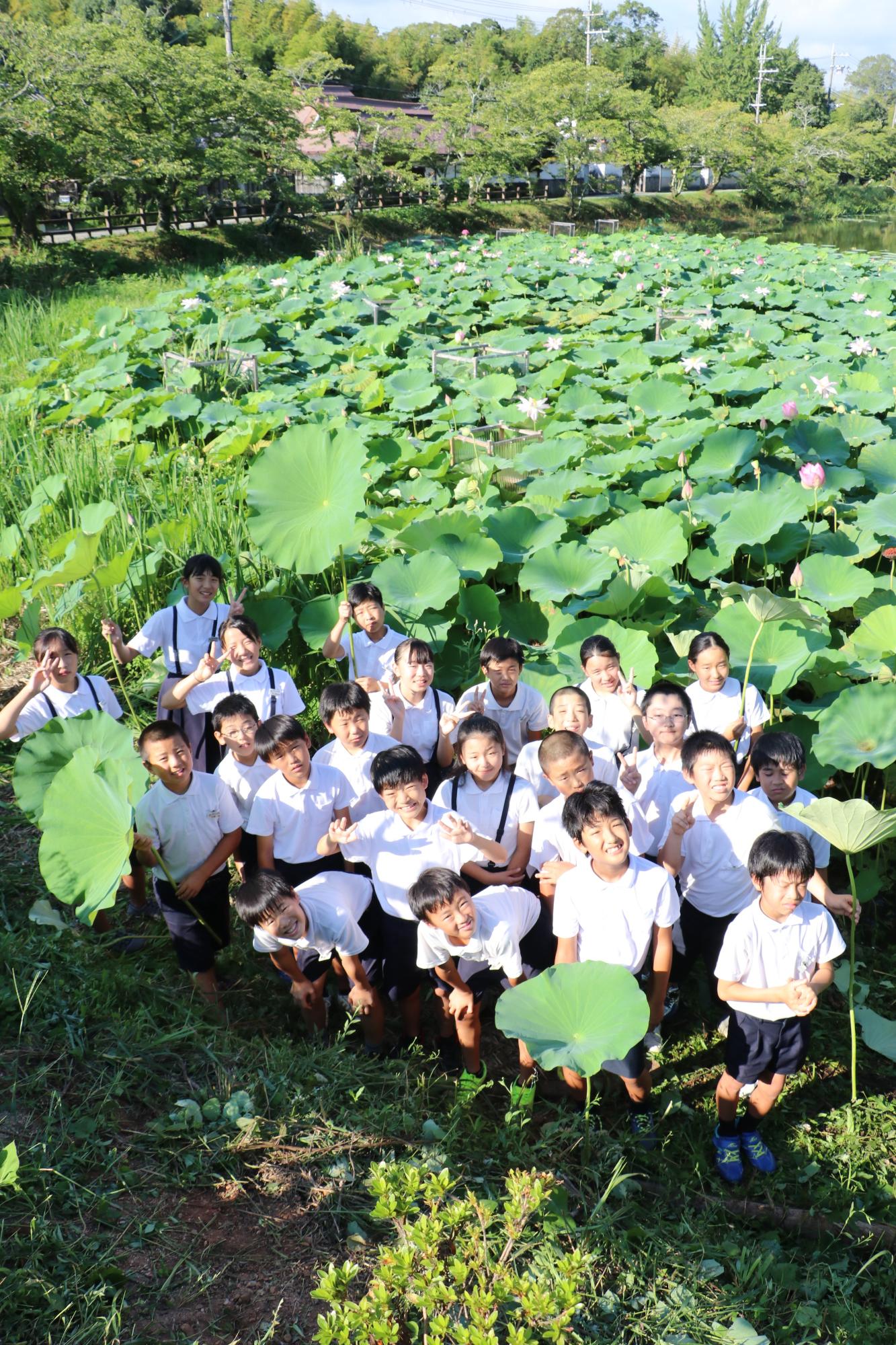 南堀のハスと篠山小学校の児童