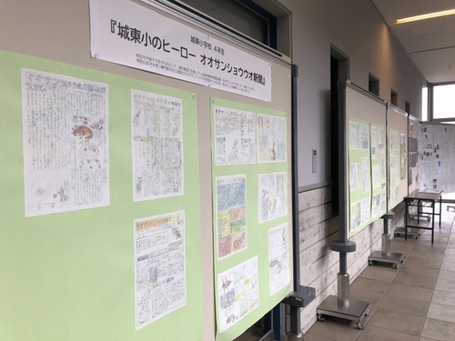 城東小学校の児童が作ったポスターが展示されている様子の写真。