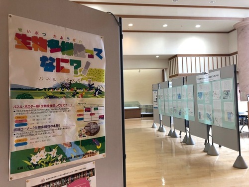 生物の多様性について書かれたポスターが展示されている様子を写した写真。