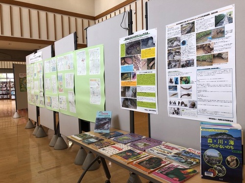 オオサンショウウオについての特集コーナーを写した写真