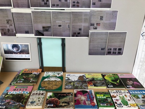 展示の様子を写した写真。写真と本が並べて展示されている。