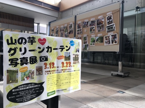 山の芋グリーンカーテン写真展の実際の様子を写した写真。沢山の写真が展示されている。