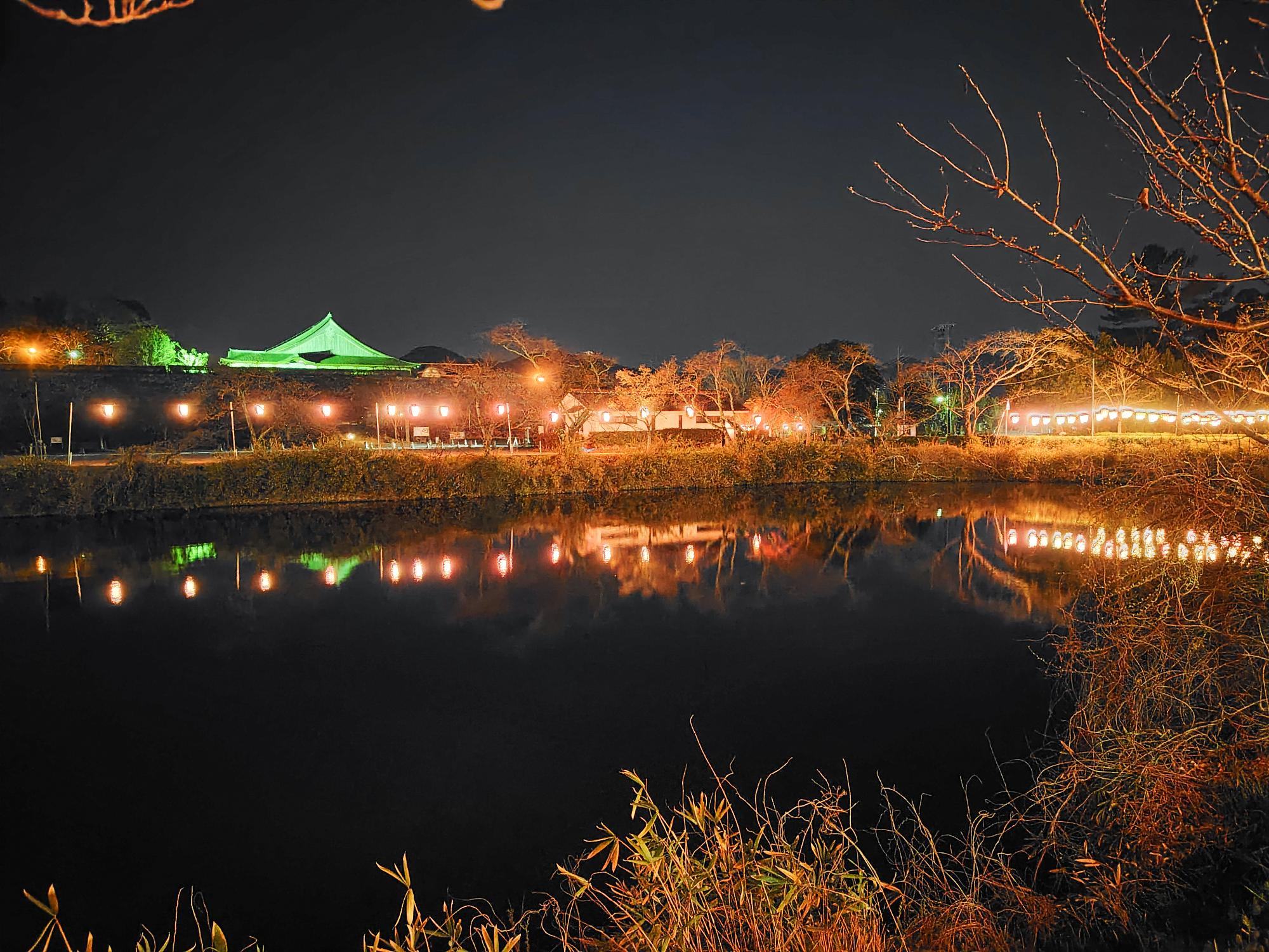 桜の開花間近の篠山城