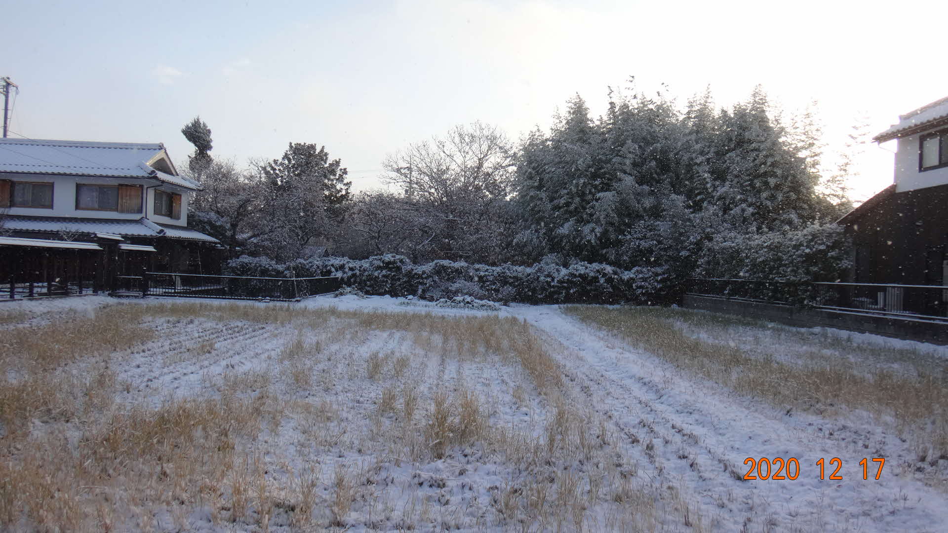 うっすら雪化粧