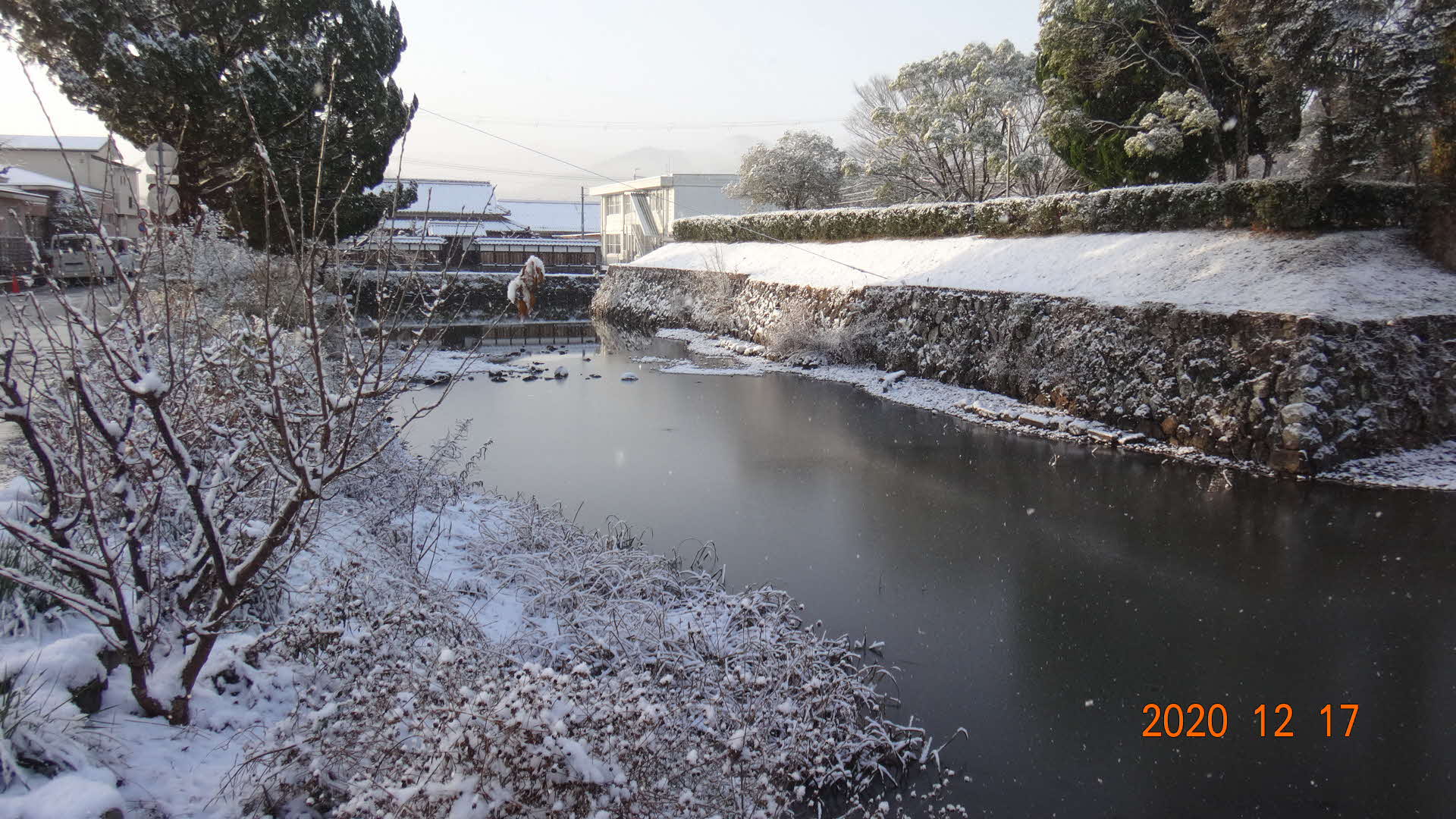 うっすら雪化粧