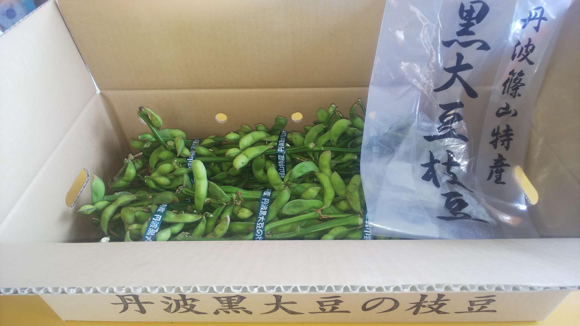 丹波篠山の黒枝豆