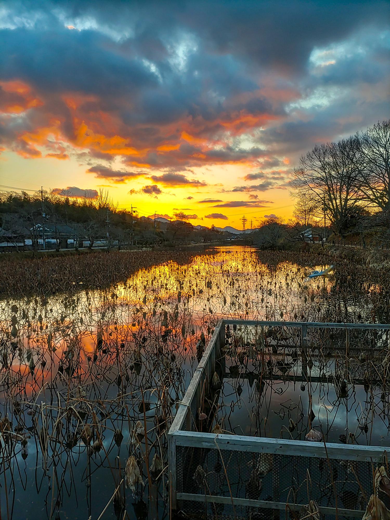 茜色に染まる篠山城南濠