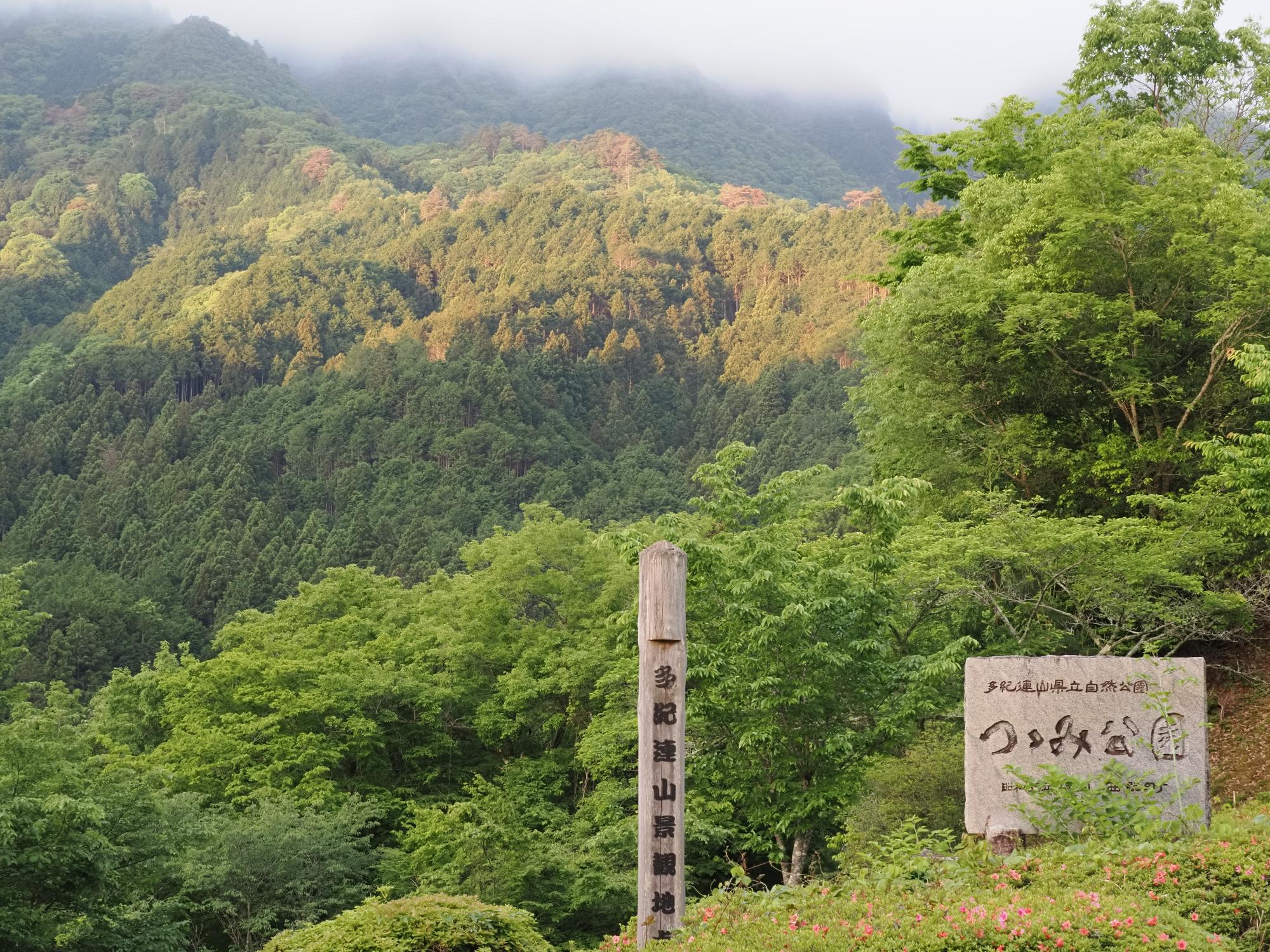 しゃくなげ？