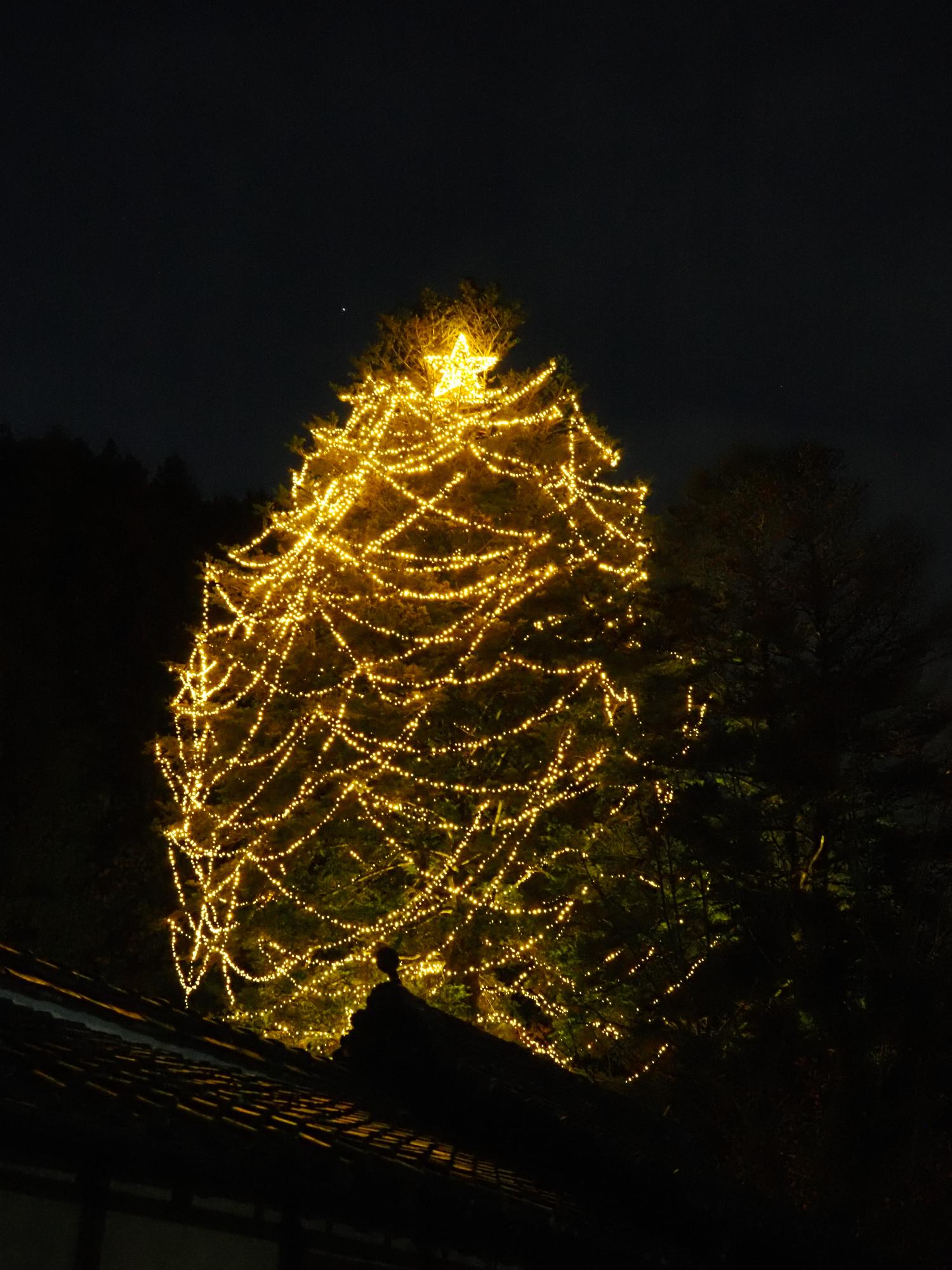 イルミネーション