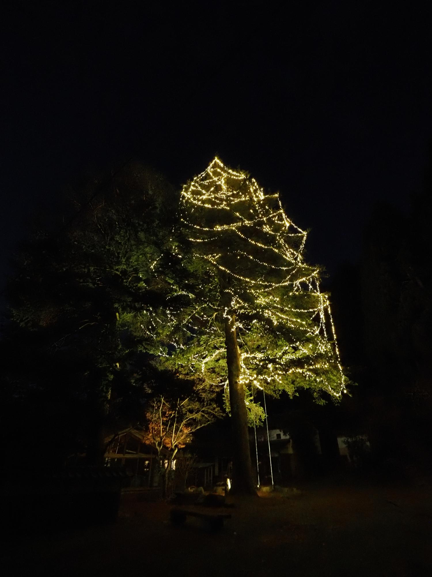 イルミネーション