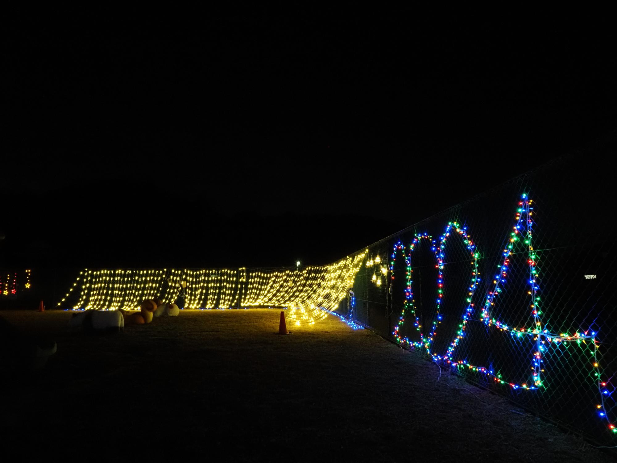 イルミネーション