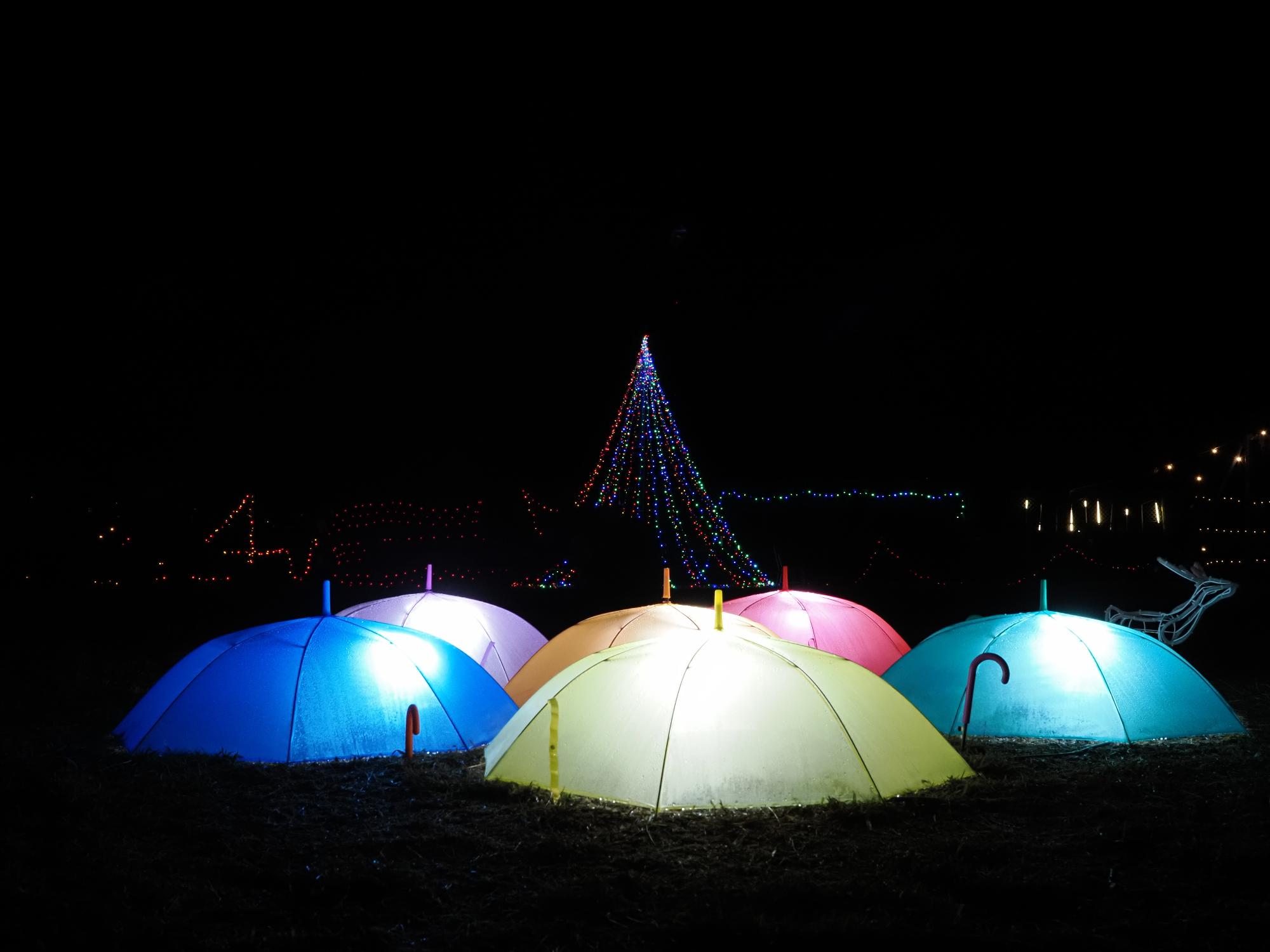 イルミネーション