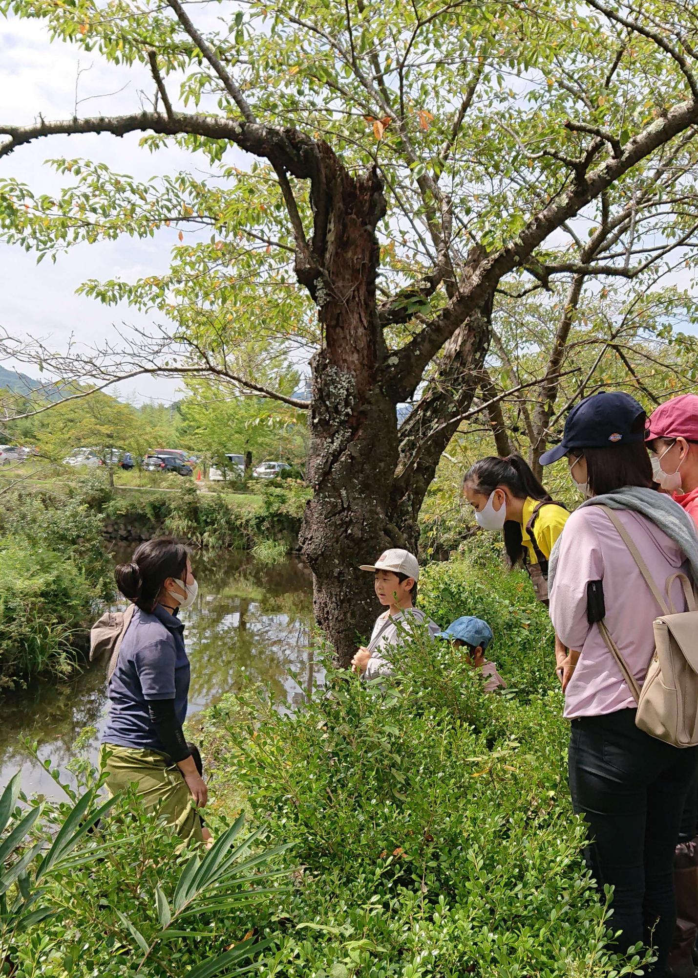 お堀の生き物探検隊