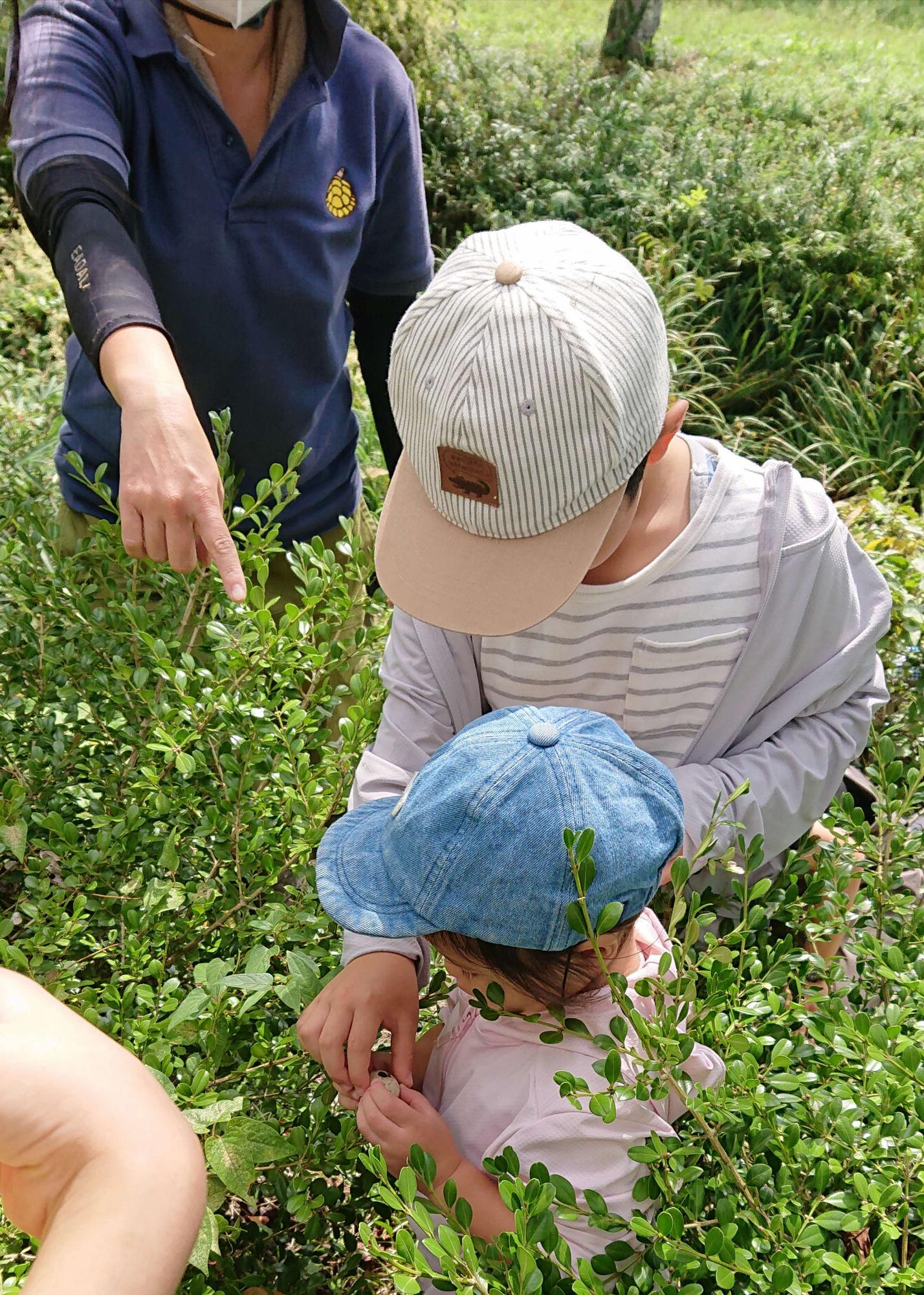 お堀の生き物探検隊