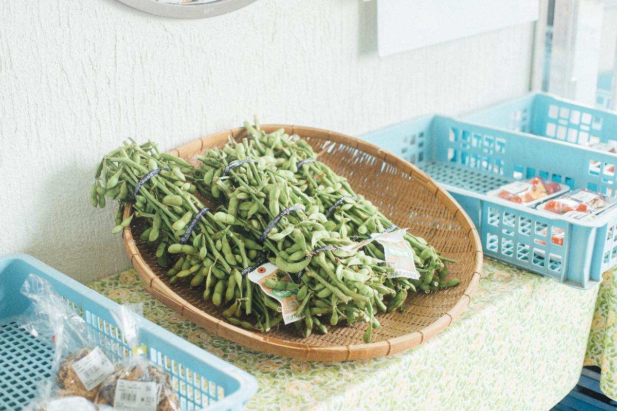 丹波篠山黒枝豆