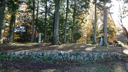 岩村城跡上部で木々の間からこぼれる光と植わる木々を撮影した写真