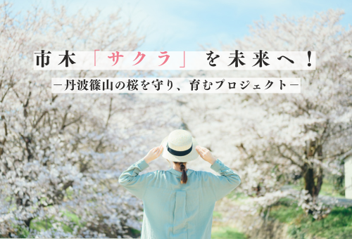 市木「サクラ」を未来へ！ 　丹波篠山の桜を守り、育むプロジェクト　メイン画像