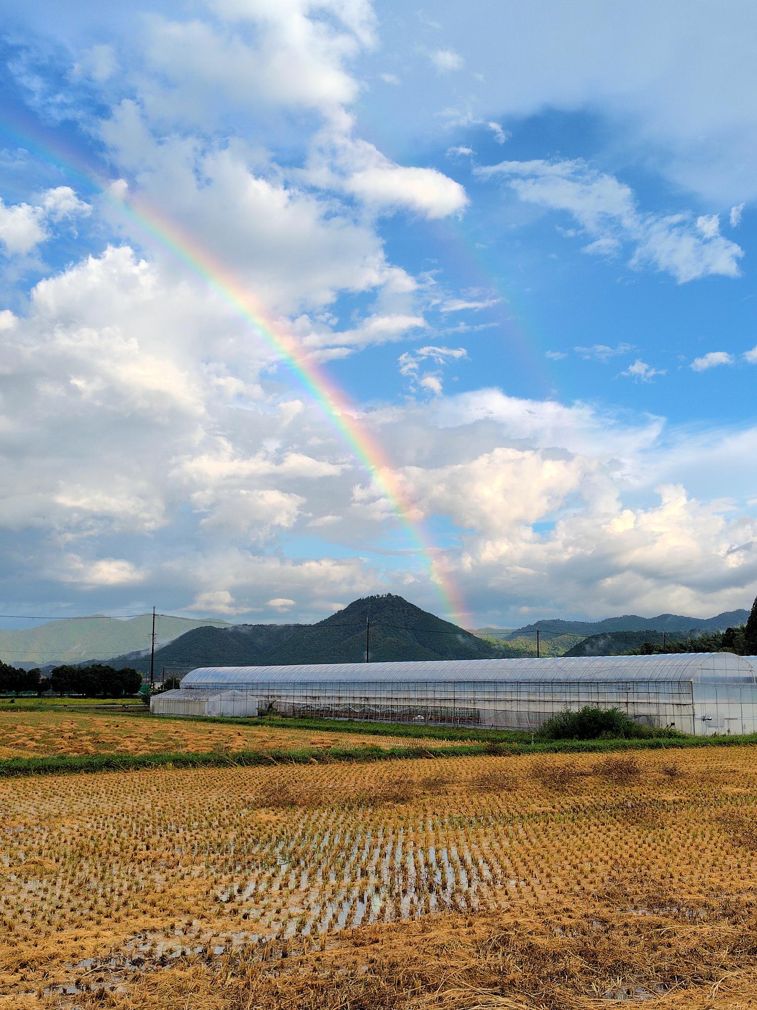 高城山に架かる虹