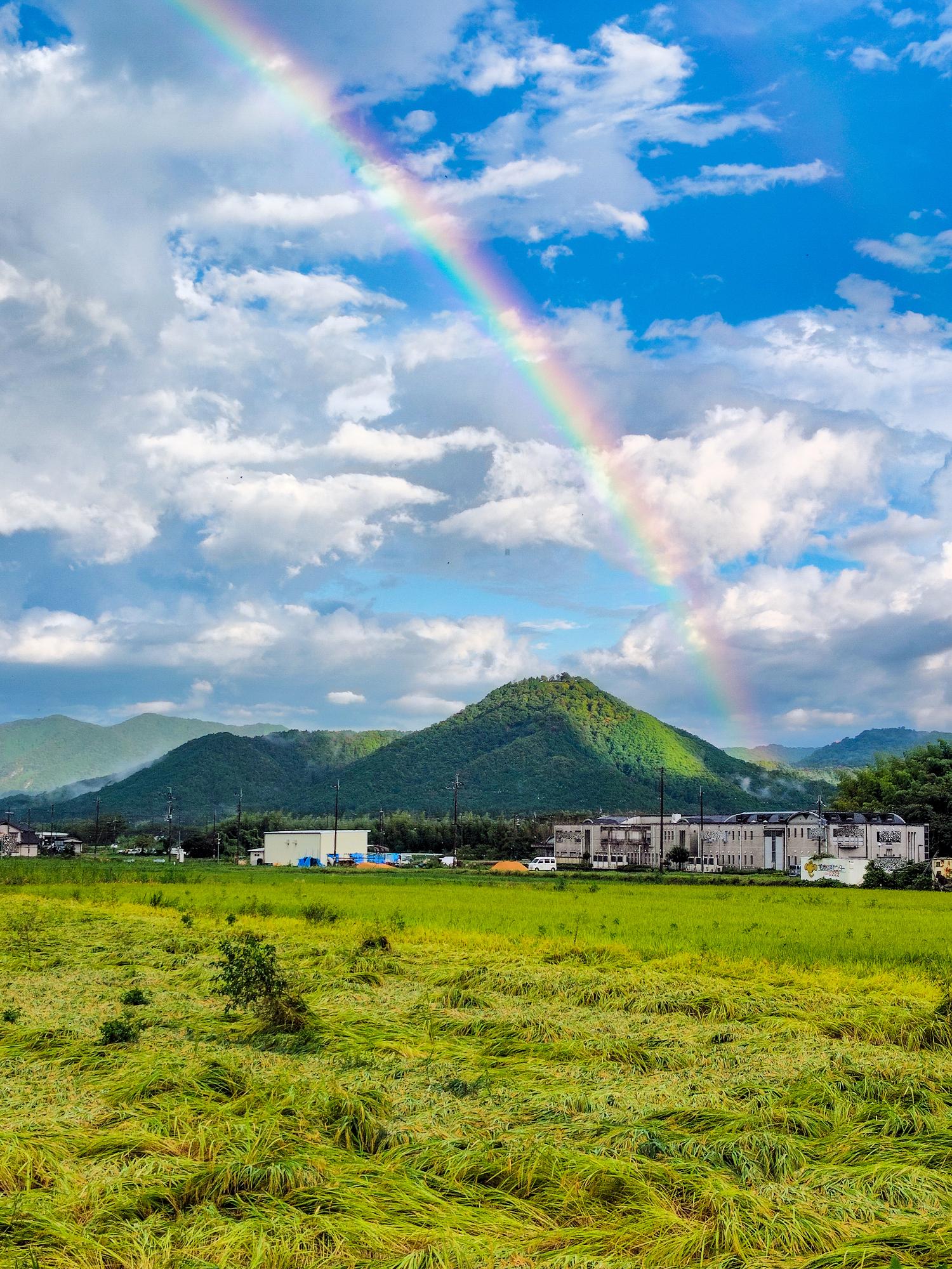 高城山に架かる虹