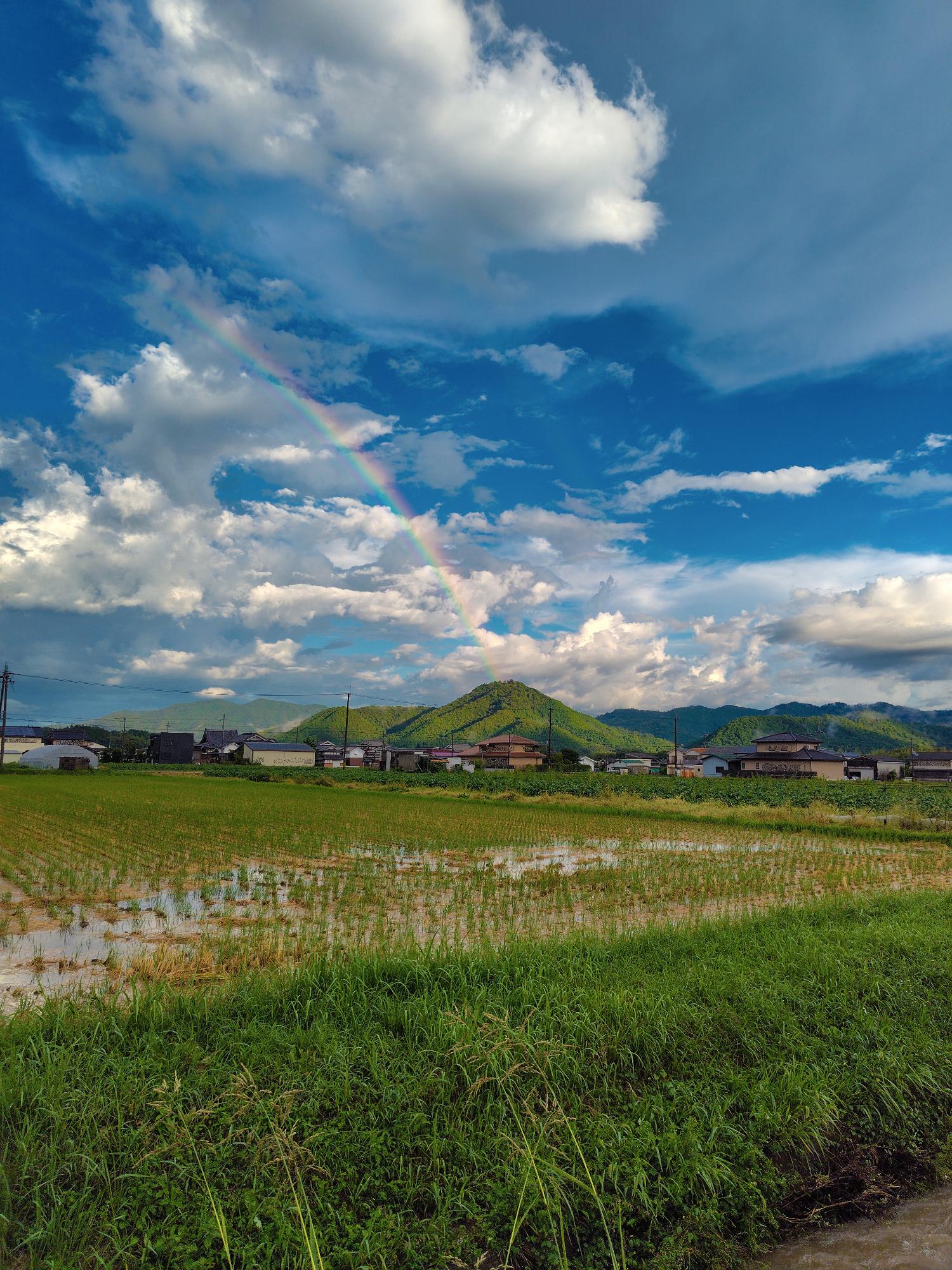 高城山に架かる虹
