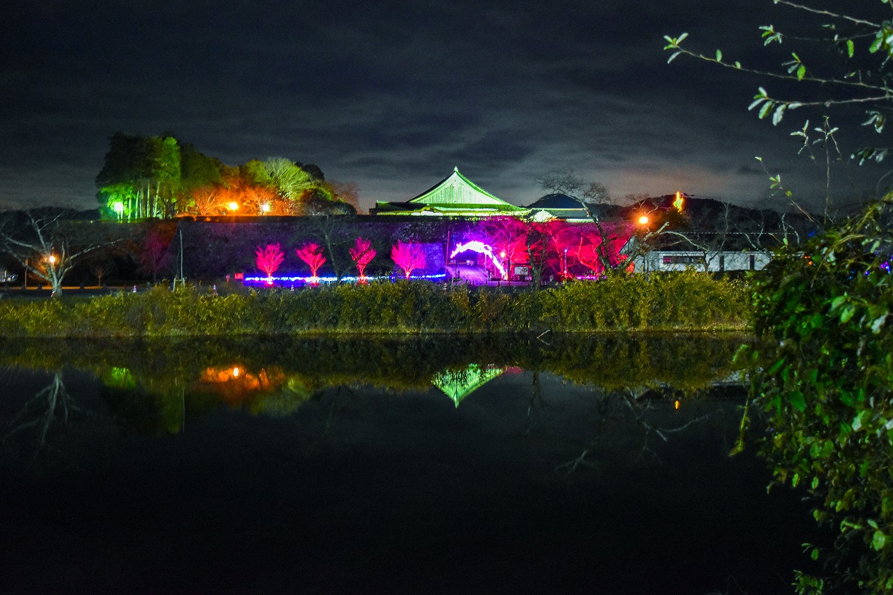 美しく彩られた大書院付近のイルミネーション