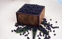 丹波篠山の特産品である大粒の黒豆が写真に写っている
