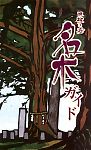 篠山の名木と巨木