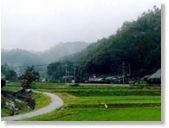 くわばらの風景写真