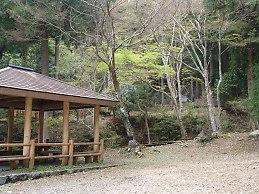 筱見（ささみ）四十八滝キャンプ場の東屋と周辺の木々の写真