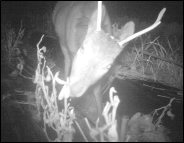 野生動物が農作物を食べてしまうので&hellip;