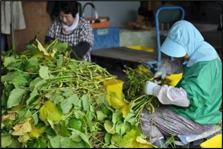 それでも美味しい農作物を皆さんに食べてほしい