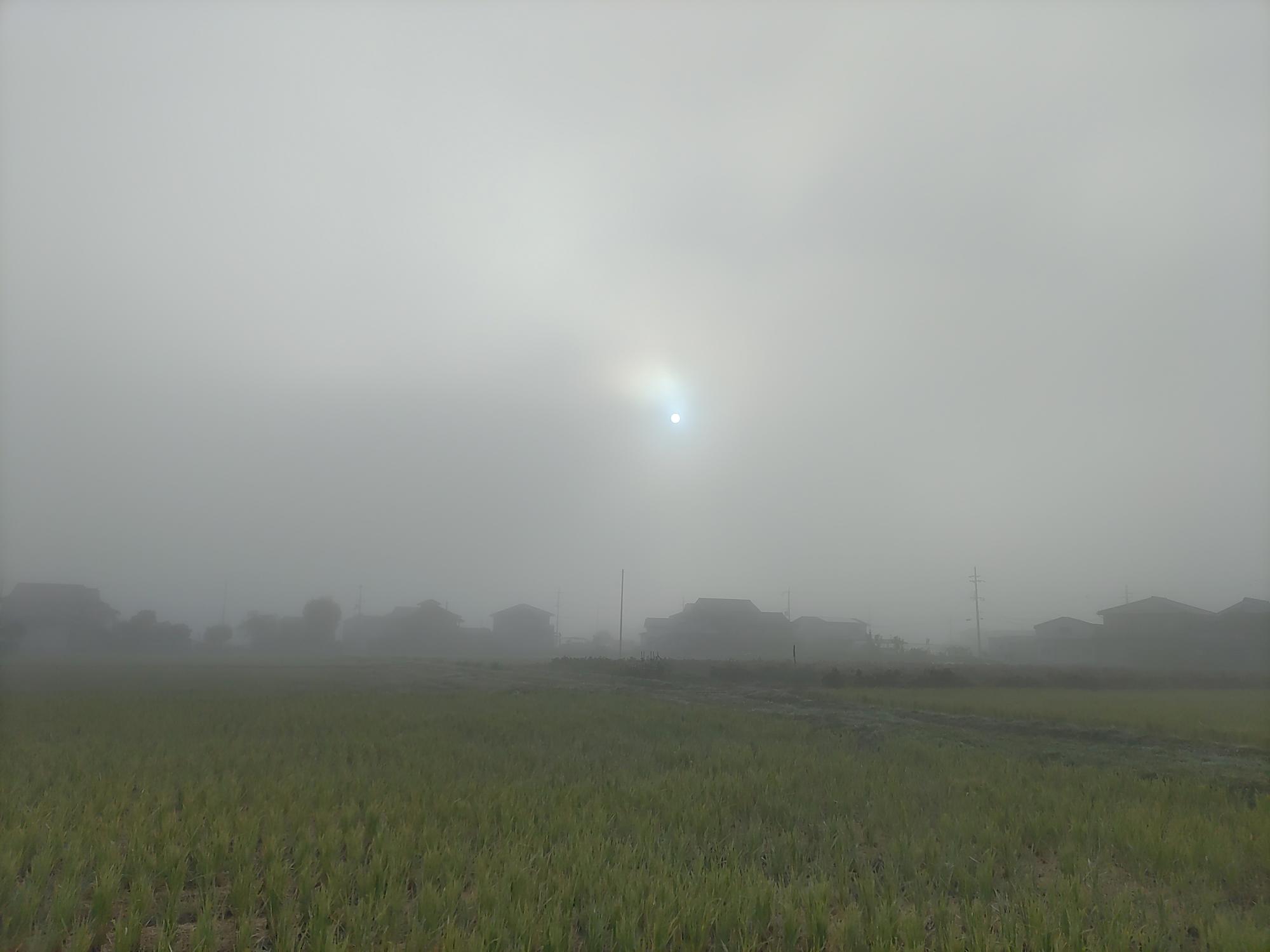 丹波篠山市は濃霧真っ盛り
