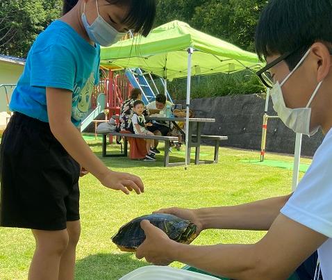 男性が持っている大きな亀をさわろうと、女の子が手を伸ばしている