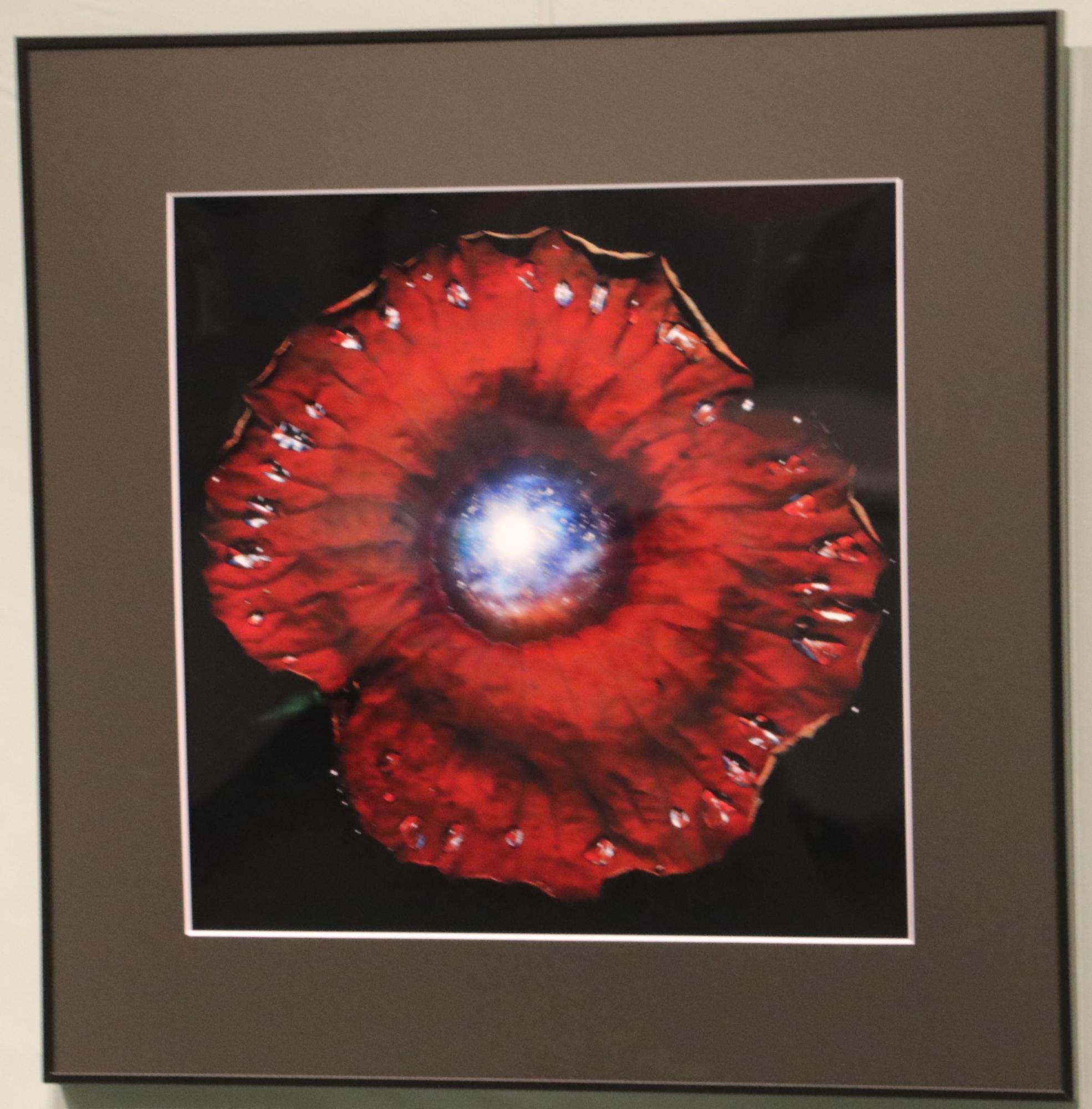 市展で市展賞を受賞した写真の作品