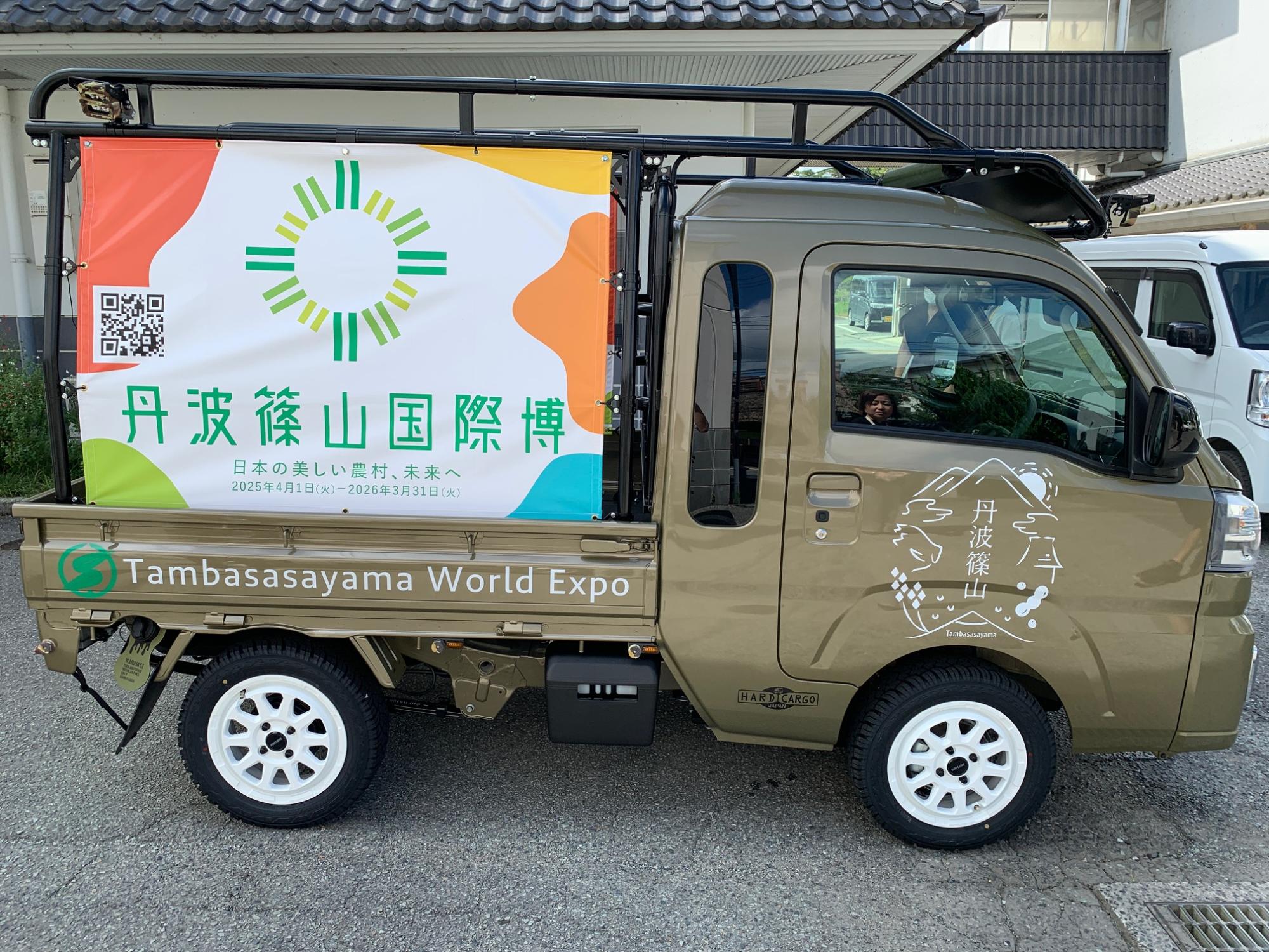 側面から見たきんぼし