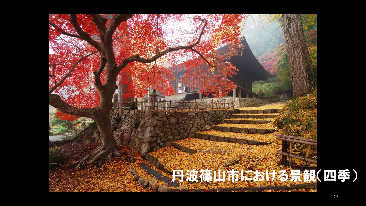 丹波篠山市スライド5