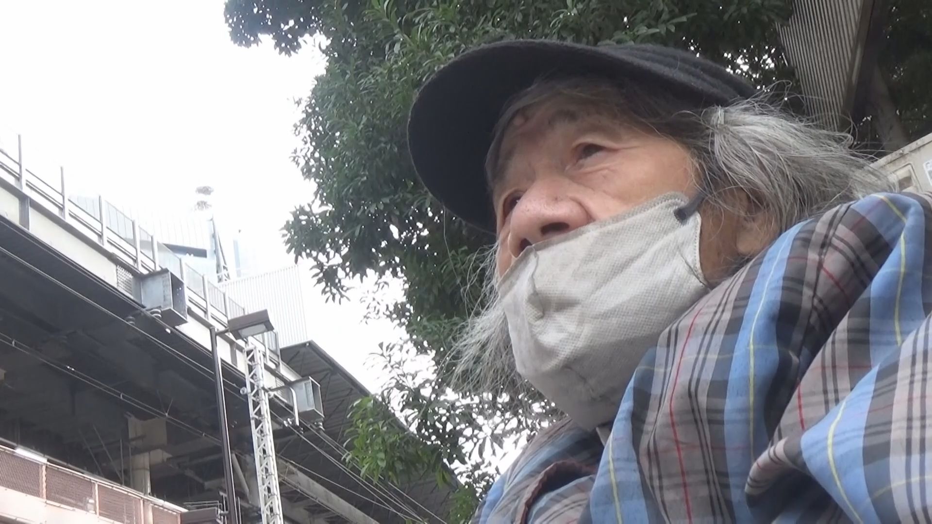 松ぼっくりと牛丼