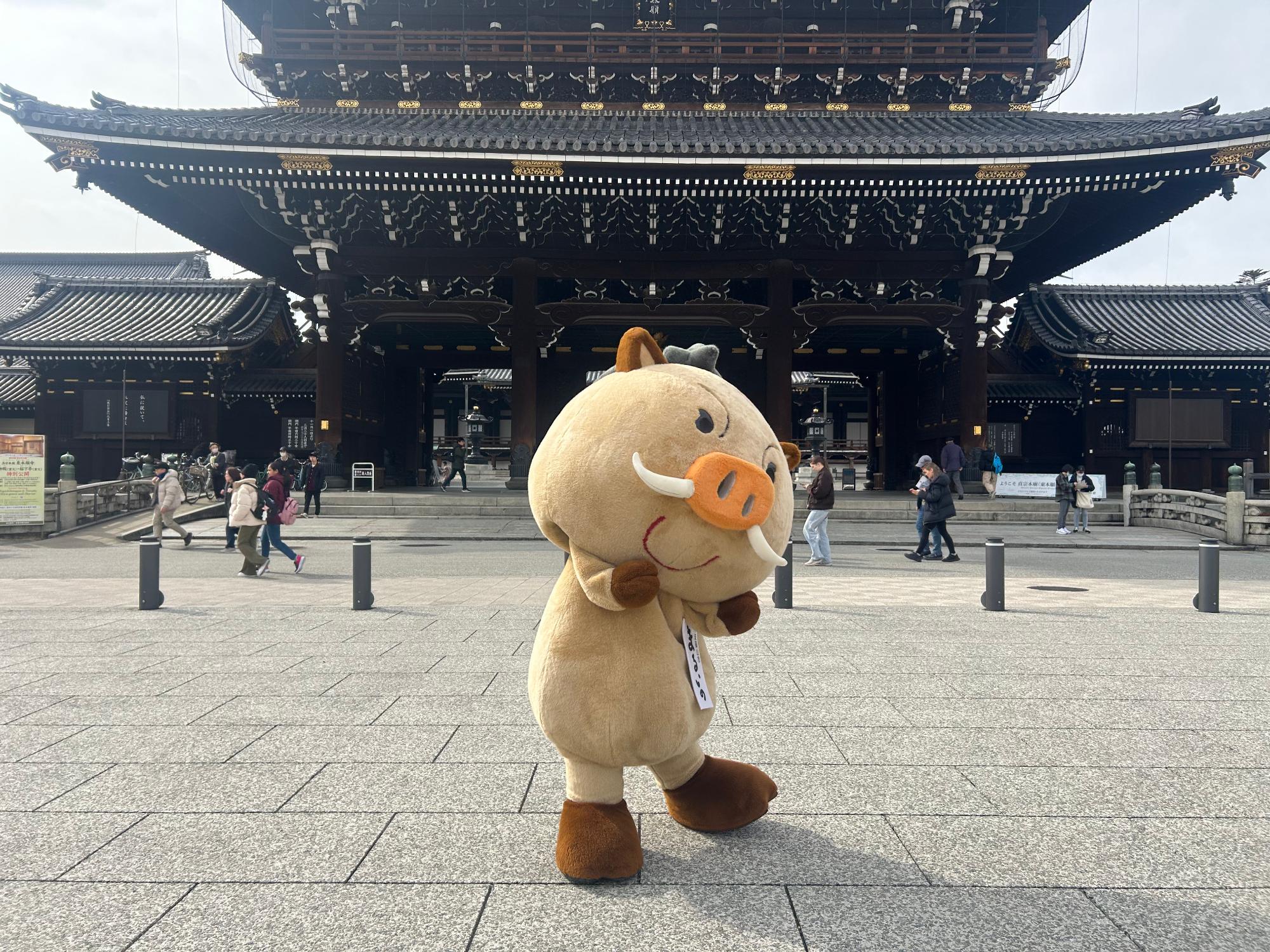 東本願寺の前でポーズするまるいの