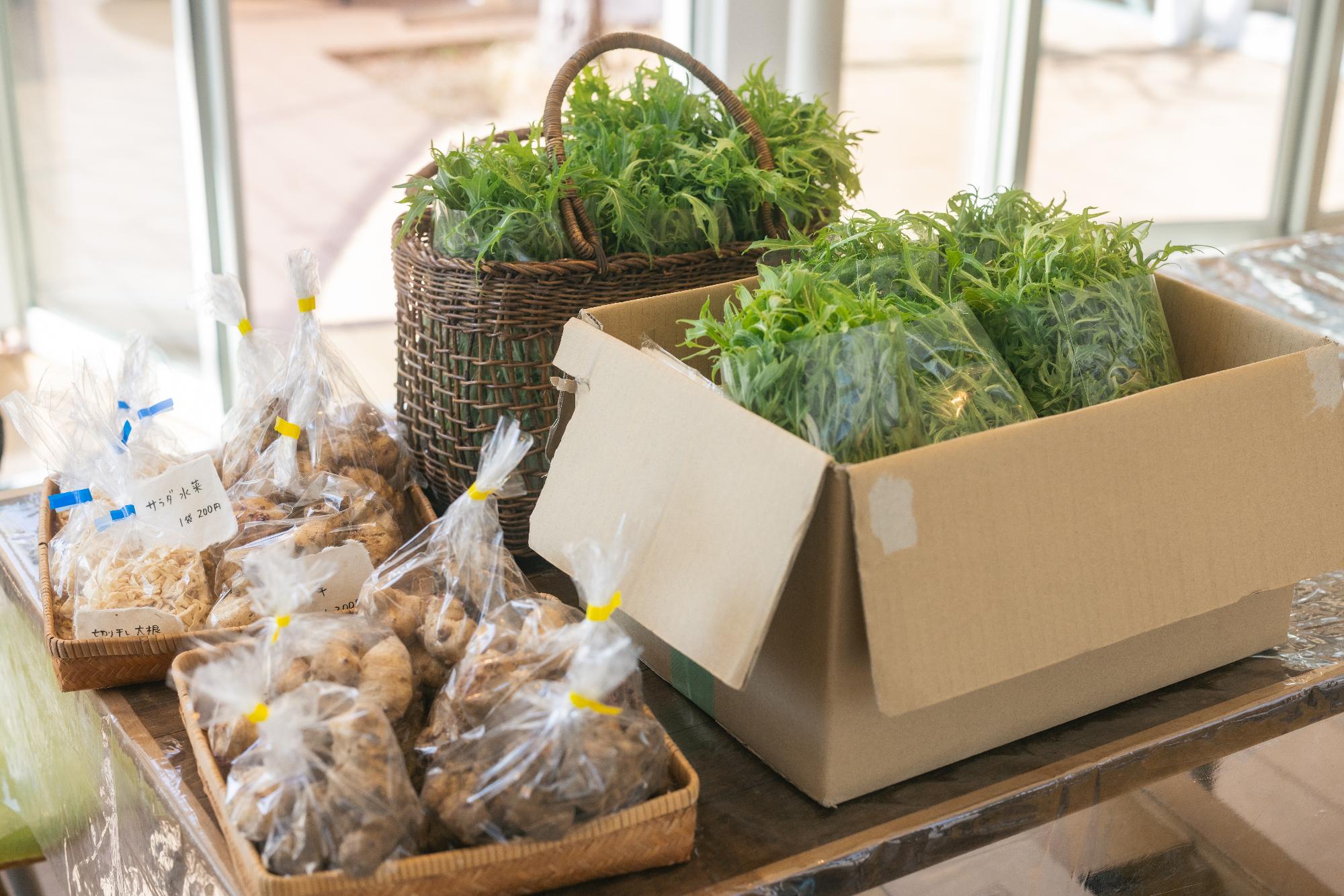 販売されている野菜