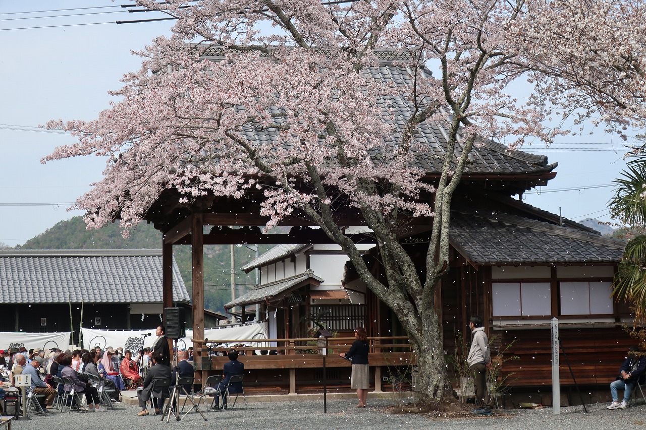 春爛漫の春日神社（黒岡）