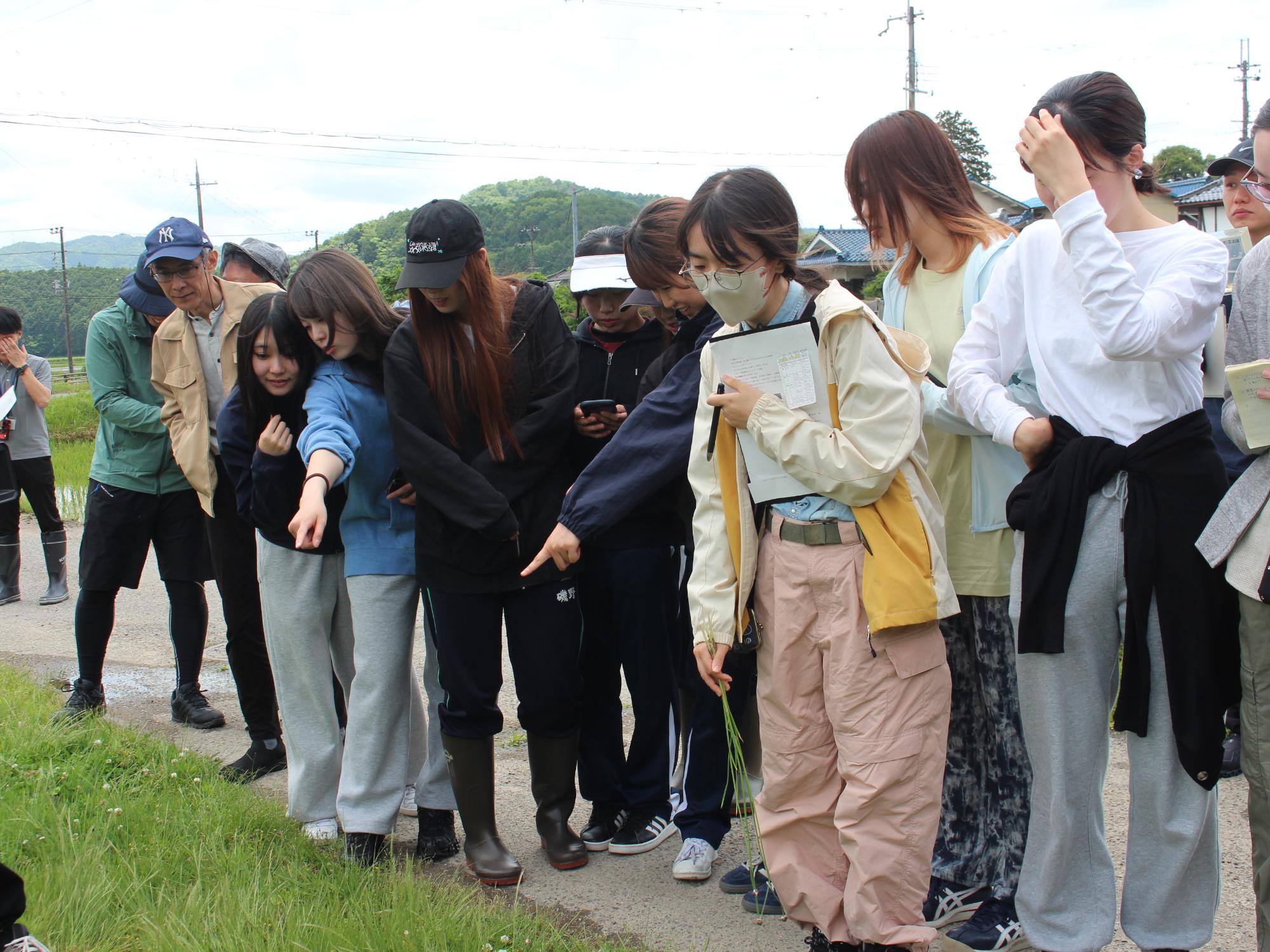 武庫川女子大学の皆さんのモデルツアーの様子
