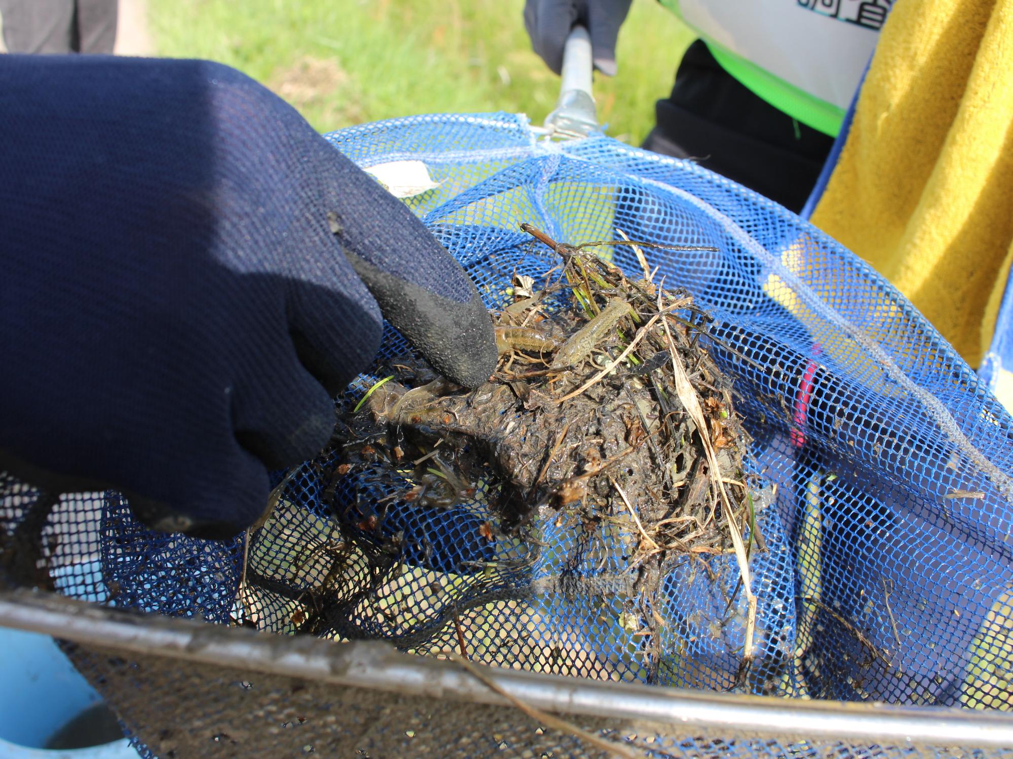 武庫川女子大学の皆さんのモデルツアーの様子
