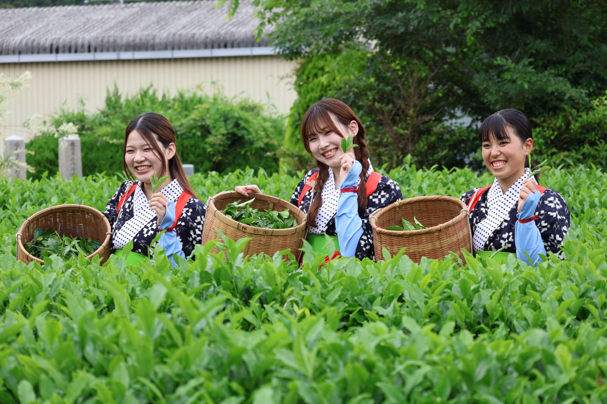 茶娘に扮した観光大使の三人